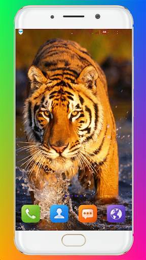 Tiger Wallpaper HD screenshot 5