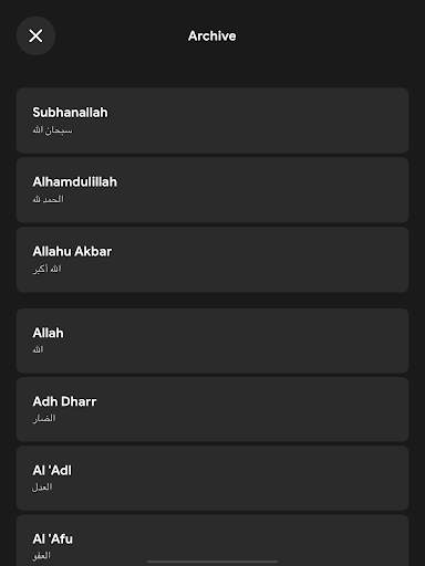 Tasbih Counter Pro: Dhikr App screenshot 10