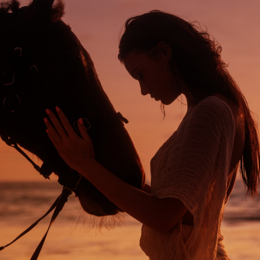 Fantasiereise - Reiten am Strand icon
