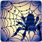 SPIDER RUN 3D