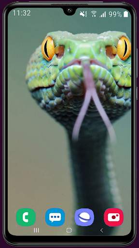 Snake Wallpaper Best HD screenshot 5