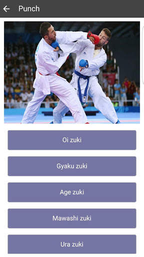Karate-Do screenshot 4