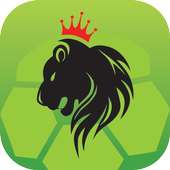 Fantasy King MM logo