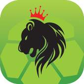 Fantasy King MM 1.4