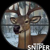 Big Game Pro Hunter : Sniper 1.1
