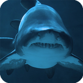 Shark Live Wallpaper icon