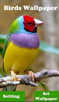 Birds Live Wallpaper स्क्रीनशॉट 2