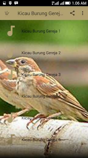 Kicau Burung Gereja Tarung Komplit Hd screenshot 2