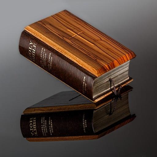 Bible Quiz - Bible Quiz Questions &amp; Answers иконка