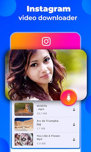 Vidma video downloader 3 تصوير الشاشة