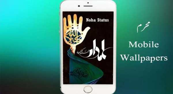 Noha Status screenshot 6