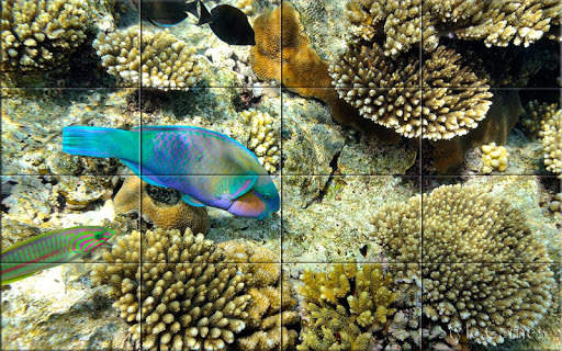 Sea world Puzzle screenshot 3