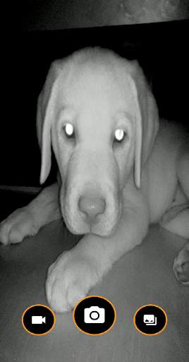 Pixel InfraRed Camera screenshot 1