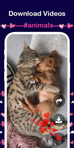 Video Downloader TikTok - No Watermark TipTop app screenshot 5