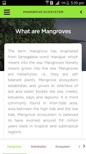 Mangroves screenshot 3