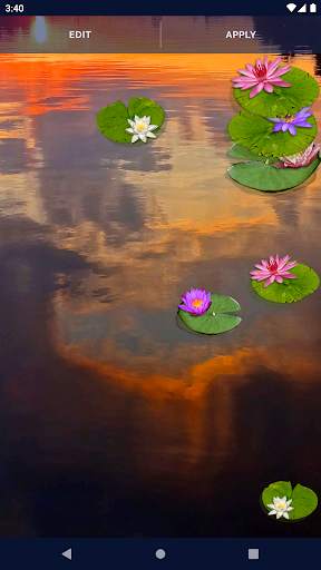 Water Lily Live Wallpaper screenshot 6