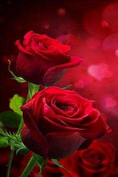 flower wallpaper hd full screen 🌹🌹 screenshot 3