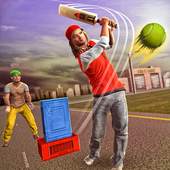 Street Cricket Match 1.0.1
