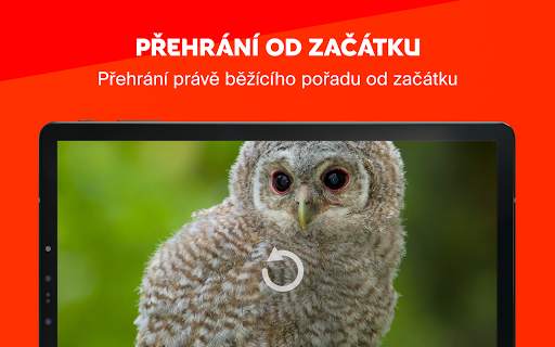 Skylink Live TV CZ screenshot 8