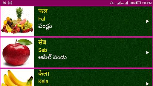 Learn Hindi from Telugu screenshot 13