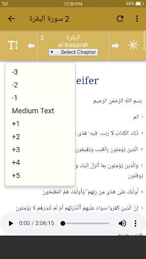Saad Al Ghamidi Quran MP3 screenshot 8