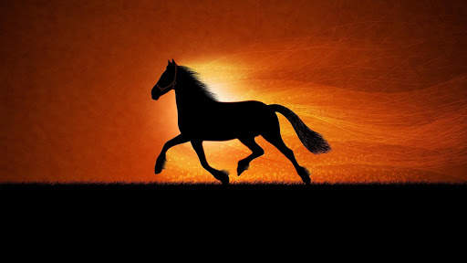 Horses Live Wallpaper : 7fon & LWP screenshot 8
