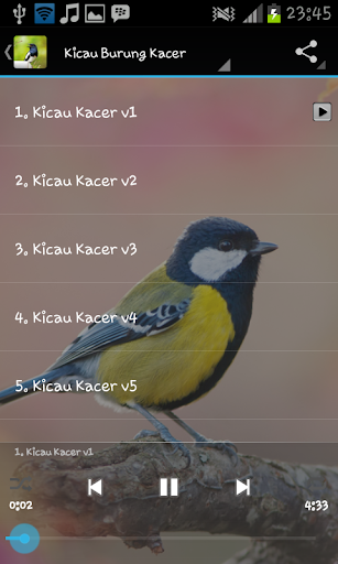 Kicau Kacer Juara скриншот 2