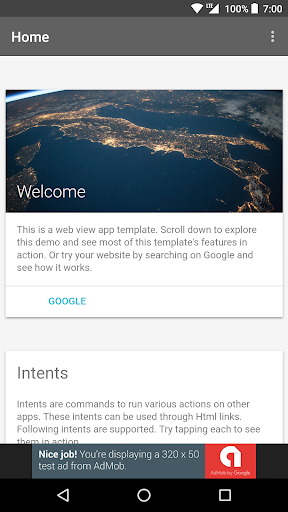 WebView App Demo screenshot 1
