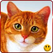 Super Lovely Cat - Free, Funny 1.0