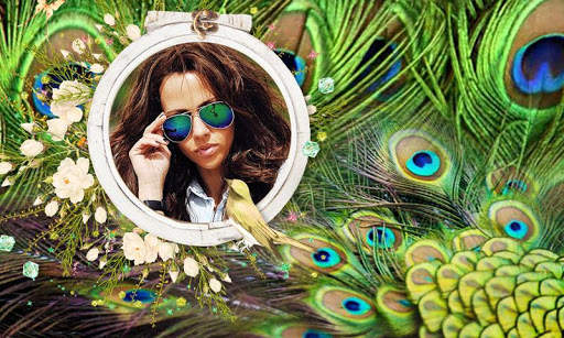 Peacock Feathers Photo Frames HD screenshot 1