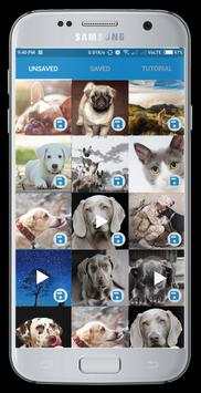 WhatsStatus PRO - WhatsApp status saver screenshot 1