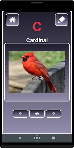 A to Z Birds Name screenshot 3