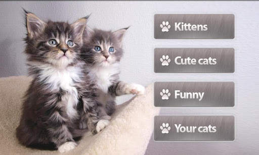 Cats Memory Game Free screenshot 4
