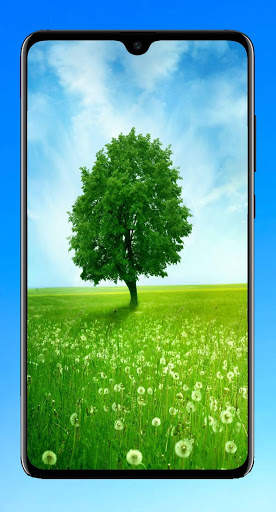 Tree Wallpaper 4K screenshot 9