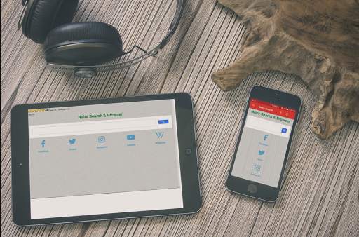 Naira Search & Browser screenshot 11