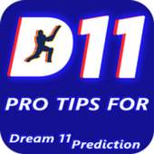 Dream11 Pro Tips & Prediction 1.0