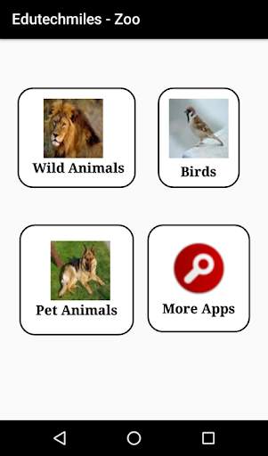 Animals and Birds screenshot 2