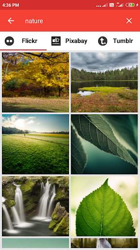 Image Search App screenshot 3