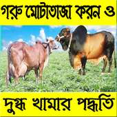 গরু পালন পদ্ধতি on 9Apps