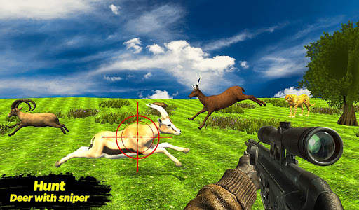 Deer Hunting Adventure-Jungle animal hunter screenshot 6