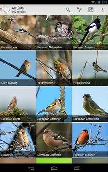 Bird Watcher screenshot 17