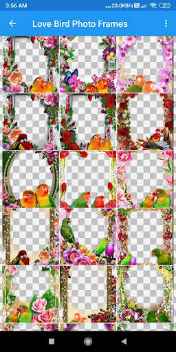 Bird Photo Frames Editor: DP, Quotes, Greeting screenshot 7