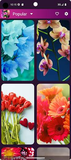 Flower Wallpapers in HD, 4K screenshot 5