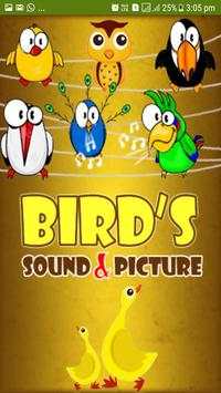 Bird Sound & Pictures screenshot 16