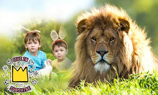Lion Photo Frames screenshot 8