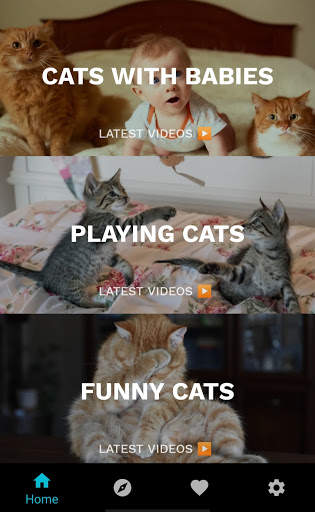 Funny Cat Videos: Funny Reactions and Cute Sounds screenshot 4
