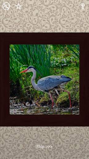 Birds Puzzles - 100 Pictures screenshot 3