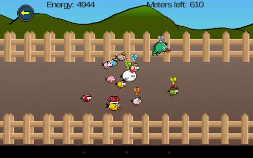 Bird Race स्क्रीनशॉट 1