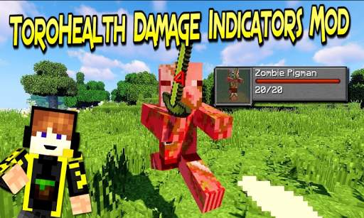 Damage Indicator Addon for Minecraft PE screenshot 2