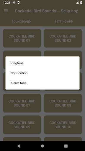 Cockatiel Bird Sound Collections ~ Sclip.app screenshot 3